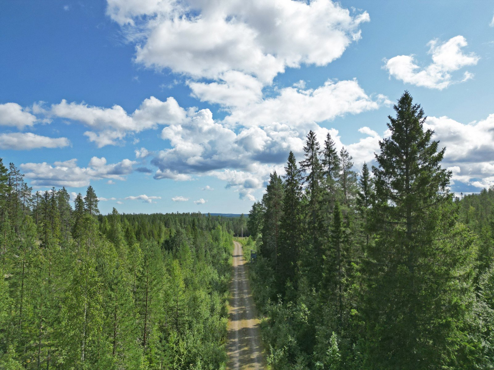 Hörnsjö 5:23, Nordmalings kommun - Skogsfastigheter.se